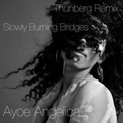 Slowly Burning Bridges (Thunberg Remix)