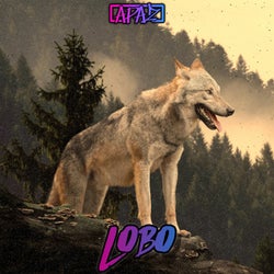 Lobo