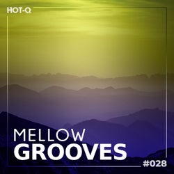 Mellow Grooves 028