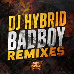 10 Years of Badboy Remixes