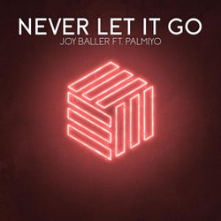 Never Let It Go (feat. Palmiyo)