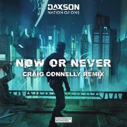 Now Or Never - Craig Connelly Remix