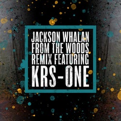 From the Woods (Remix)