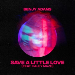 Save A Little Love (feat. Haley Maze) (Extended Mix)