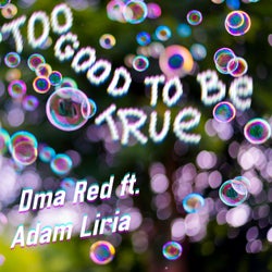 Too Good to Be True (feat. Adam Liria)