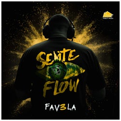 Sente o Flow