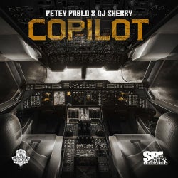 Cover art for Copilot
