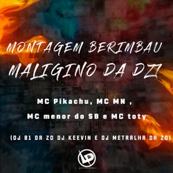 Montagem Berimbau Maligino da Dz7