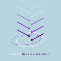 Tiny Drum Experiment