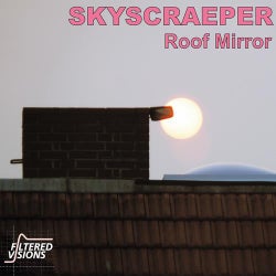 Roof Mirror