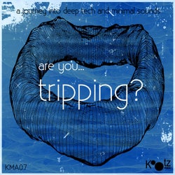 Are You...Tripping?, Vol. 5