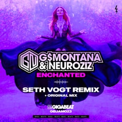 Enchanted (Seth Vogt Remix)