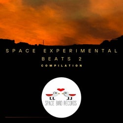 Space Experimental Beats 2