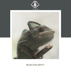 SELECTAS SEP17