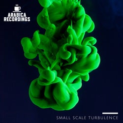 Small Scale Turbulence