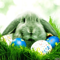 Easter Time !