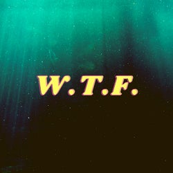 W.T.F. (Extended Version)