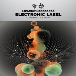 Electronic Label Compilation