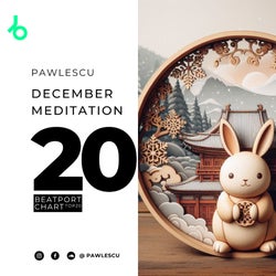 Pawlescu - December Meditation (Top 20)