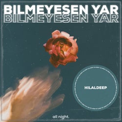 Bilmeysen Yar