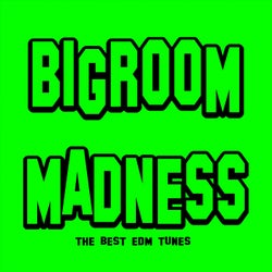 Bigroom Madness (The Best EDM Tunes)