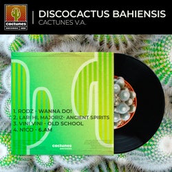 VA Discocactus Bahiensis 2024