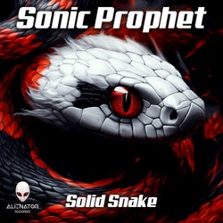 Solid Snake