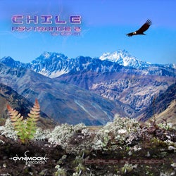 Chile Psytrance, Vol. 2