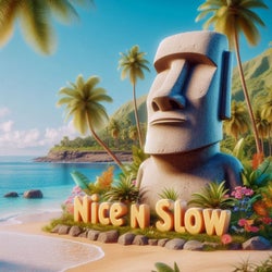 Nice N Slow