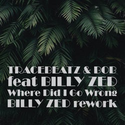 Where Did I Go Wrong (Billy Zed Rework)