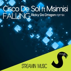 Falling(Ricky Da Dragon Remix)