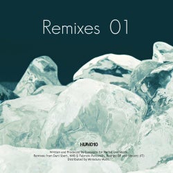 Remixes 01