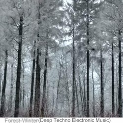 Forest-Winter (Deep Techno Electronic Music)