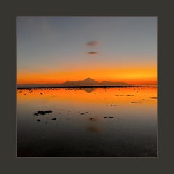 Reflections