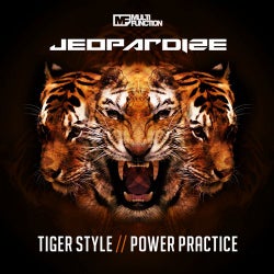 Tiger Style / Power Practice