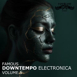 Famous Downtempo Electronica, Vol. 5