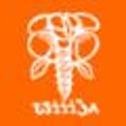 Wiiija Records