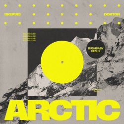 Arctic (Bushbaby Extended Remix)