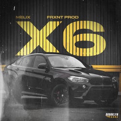 X6