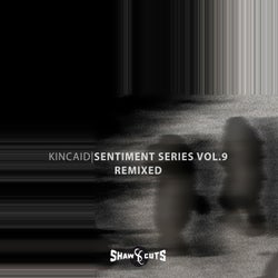 Sentiment Series Vol.9 - Remixed