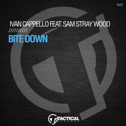 Bite Down Feat. Sam Stray Wood