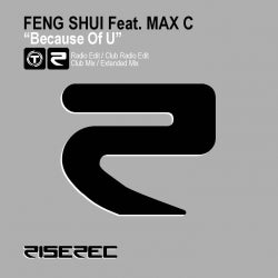 FENG SHUI BECAUSE OF U CHART 2012
