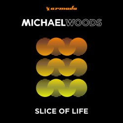 Michael Woods Slice of Life Chart