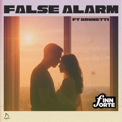 False Alarm (feat. Brunetti)