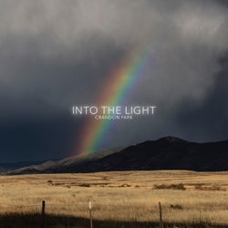 Into the Light