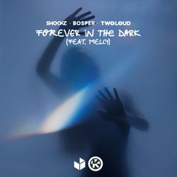 Forever in the Dark (Extended Mix)