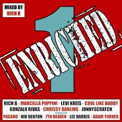 Enriched ONE - The Album - Mixed by Rich B