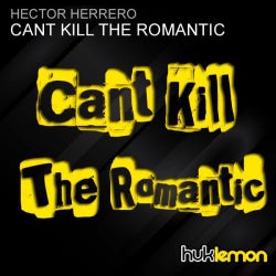 Cant Kill The Romantic