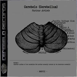 Cerebelo Records 2017 (Cerebellum)