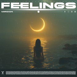 Feelings